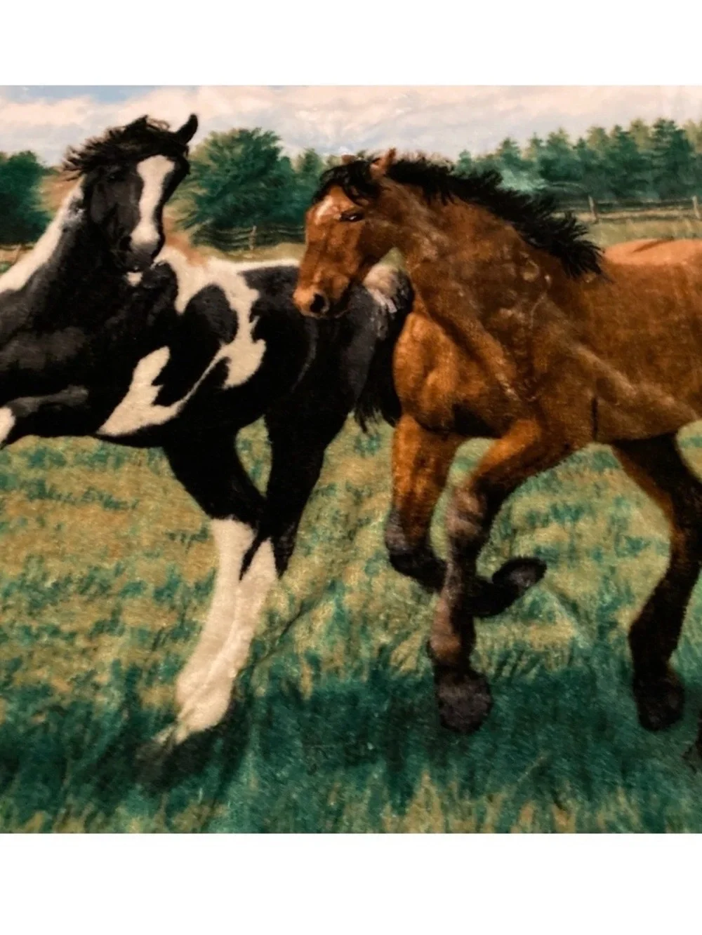 Northwest Company Horse Throw Blanket Plush Fleece - Persis Clayton Weirs 48x60”
